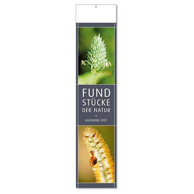 Bildstreifenkalender Fundstücke der Natur, 2027
