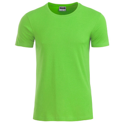 JAMES & NICHOLSON Herren T-Shirt Basic aus Bio-Baumwolle, hellgrün, S