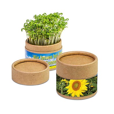 Pflanz-Cup inkl. Samen - Sonnenblume, inkl. Druck, individuell
