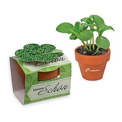 Tontöpfchen-Blume inkl. Samen - Gartenkresse, inkl. Druck, individuell