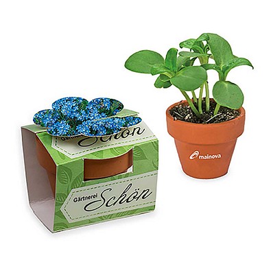 Tontöpfchen-Blume inkl. Samen - Vergissmeinnicht, inkl. Druck, individuell