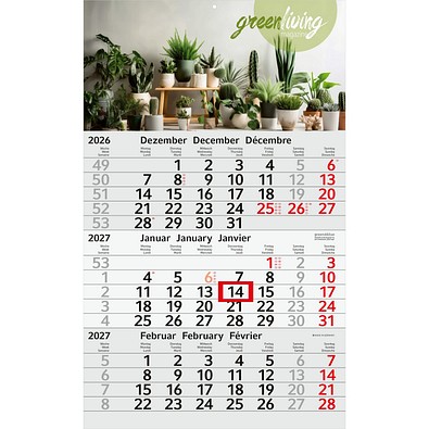 Geiger-Notes Monatskalender Budget 3 Recycling-Kalendariumspapier, inkl. Druck, rot