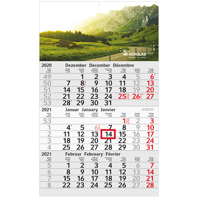 3-Monats-Wandkalender Recycling 2021 3-Monats-Wandkalender Recycling 2021