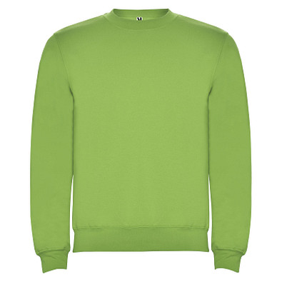 Clasica Sweatshirt mit Rundhalsausschnitt für Kinder, Oasis Green, 7/8