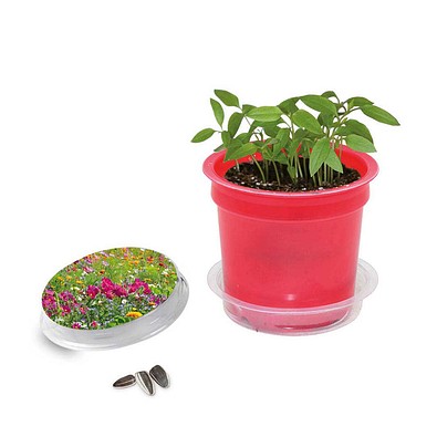 Florero-Töpfchen mit Samen, rot, Sommerblumenmischung, 1-seit. Druck