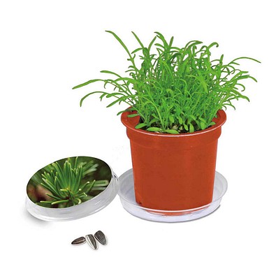 Florero-Töpfchen mit Samen, terracotta, Fichte, 1-seit. Druck