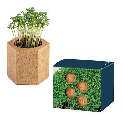Pflanz-Holz Hexagon mit Samen, Ostern, Gartenkresse, 1-seit. Druck