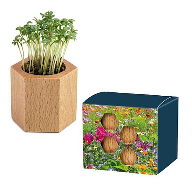 Pflanz-Holz Hexagon mit Samen, Ostern, Sommerblumenmischung, 1-seit. Druck