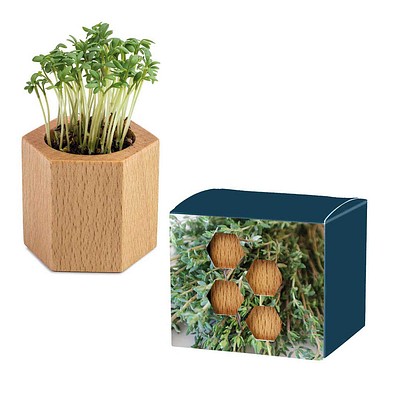 Pflanz-Holz Hexagon mit Samen, Thymian, 1-seit. Druck