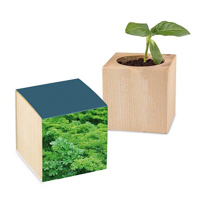 Pflanz-Holz mit Samen, Petersilie, 1-seit. Druck