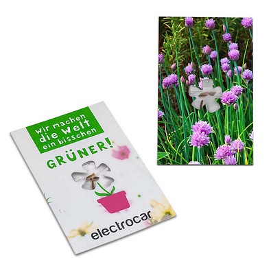 Samen-Karte-Mini Blume, Schnittlauch, 2-seit. Druck