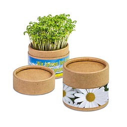 Pflanz-Cup inkl. Samen - Ostern - Margerite, inkl. Druck, individuell