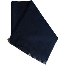 Citizen Green Hibernal 27 x 200 cm Schal, navy