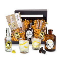 Gin Tonic Set Gallus 43