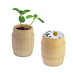Pflanz-Fässchen mit Samen, Margerite, 1-seit. Druck