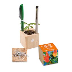Pflanz-Holz Büro mit Samen, Gewürzpaprika, 1-seit. Druck