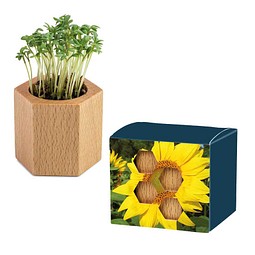 Pflanz-Holz Hexagon mit Samen, Sonnenblume, 1-seit. Druck