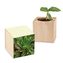 Pflanz-Holz mit Samen (Graspapier-Banderole), Fichte, 1-seit. Druck