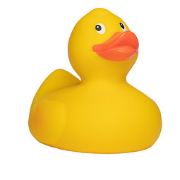 Renn-Ente, mit Metallplatte, gelb/orange, 10 cm