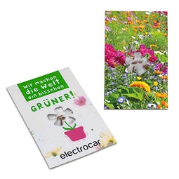 Samen-Karte-Mini Blume, Sommerblumenmischung, 2-seit. Druck