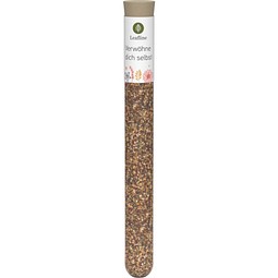 Spice Tube M, DeWi Gewürzmischung Spaghetti all'aglio, inkl. Druck