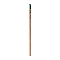 Sprout | Pencil Salbei In Deutsch Geschrieben, Salbei In Deutsch Geschrieben