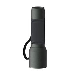 Taschenlampe REEVES-myFLASH 300, anthrazit