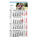 4-Monats-Wandkalender Business 2021 4-Monats-Wandkalender Business 2021