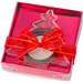 Kerzen-Set Lichterglanz, Tannenbaum, Transparent Kerzen-Set Lichterglanz, Tannenbaum, Transparent