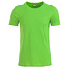 JAMES & NICHOLSON Herren T-Shirt Basic aus Bio-Baumwolle, hellgrün, XL