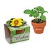 Tontöpfchen-Blume inkl. Samen - Ostern - Sonnenblume, inkl. Druck, individuell
