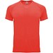 Fluor Coral