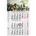 Geiger-Notes Monatskalender Budget 3 Recycling-Kalendariumspapier, inkl. Druck, rot