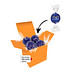 Color Lindor Box - Orange - Feinherb
