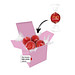 Color Lindor Box - Rosa - Vollmilch