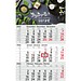 Geiger-Notes Monatskalender Budget 3 Bestseller, inkl. Druck, blau