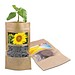 Grünes aus der Tüte mit Samen, Sonnenblume, 1-seit. Druck
