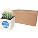 Hey Pots Blumentopf aus Aluminium, Kaktus, weiss