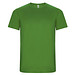 Green Fern