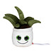MiniFeet® Displayreiniger Schmoozies® Evergreenies® Aloe Vera