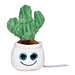 MiniFeet® Displayreiniger Schmoozies® Evergreenies® Kaktus