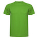 Green Fern
