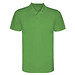 Green Fern