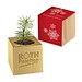 Pflanz-Holz, Standardmotiv, Frohe Weihnachten, 1-seit. Laser