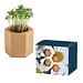 Pflanz-Holz Hexagon mit Samen, Ostern, Margerite, 1-seit. Druck