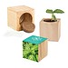 Pflanz-Holz Maxi mit Samen, Basilikum, 1-seit. Druck