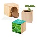 Pflanz-Holz Maxi mit Samen, Petersilie, 1-seit. Druck