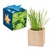 Pflanz-Holz Maxi Star-Box mit Samen, Basilikum, 1-seit. Druck