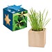 Pflanz-Holz Maxi Star-Box mit Samen, Glücksklee