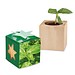 Pflanz-Holz Star-Box mit Samen, Basilikum, 1-seit. Druck